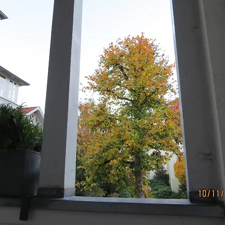 Apartross In Eichbaum, Zentrale Lage Bummelallee Apartment *