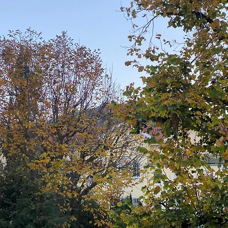 Apartross In Eichbaum, Zentrale Lage Bummelallee *