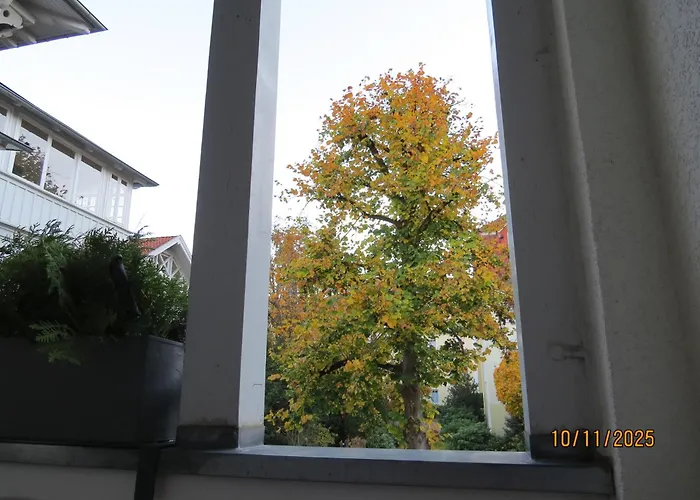 Apartross In Eichbaum, Zentrale Lage Bummelallee Daire *