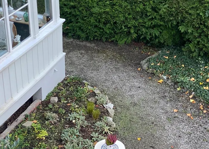 Apartross In Eichbaum, Zentrale Lage Bummelallee Daire *