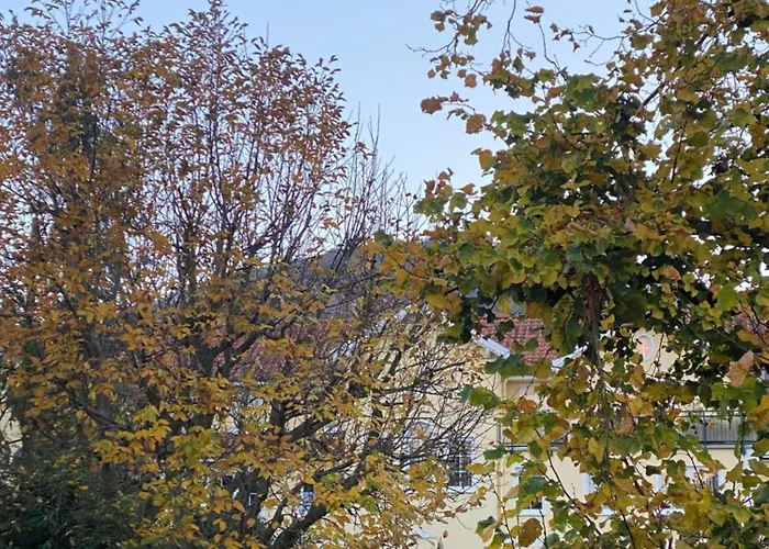 Apartross In Eichbaum, Zentrale Lage Bummelallee *